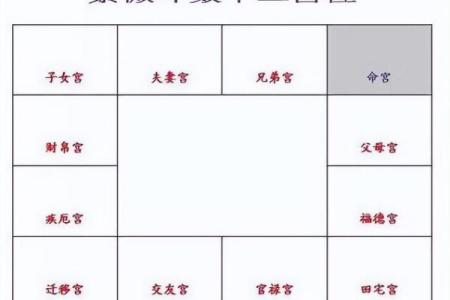 紫薇斗数盘