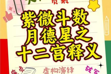 紫微斗数之基本术语