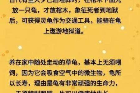 风水上养龟为什么不能养双,有这说法吗-
