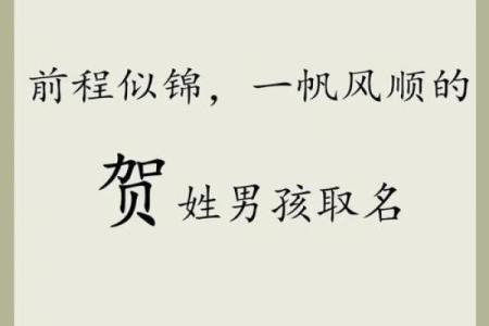中午1点出生的属虎男孩如何起名，适合什么字姓名