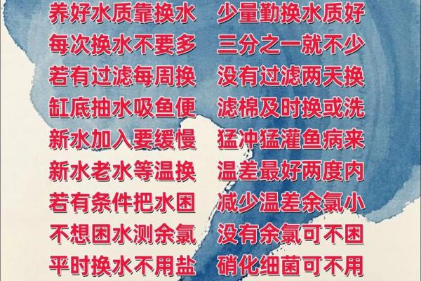 养鱼喜忌：家庭养鱼的风水讲究