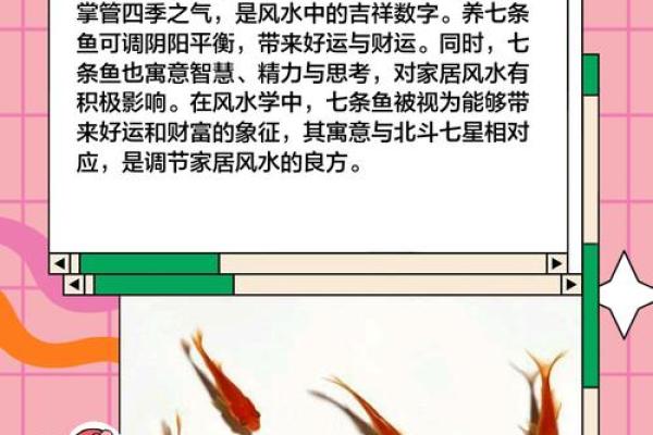 养鱼喜忌：家庭养鱼的风水讲究