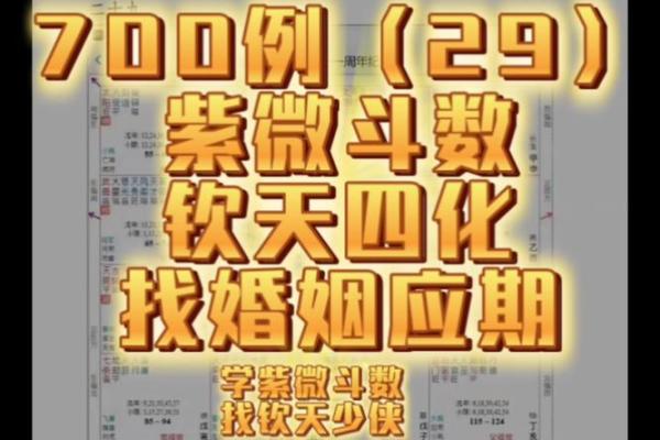 紫微斗数看配偶及恋爱婚姻之：婚灾的解救方法