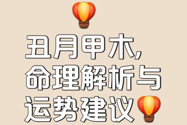八字甲木命