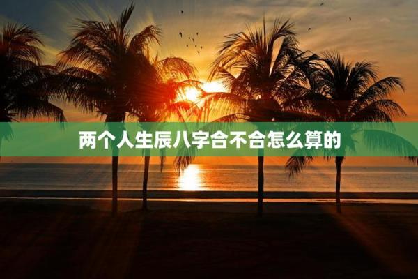 怎么看两个人的八字合不合,算两个人的生辰八字合不合