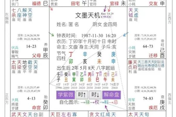 下紫薇斗数盘
