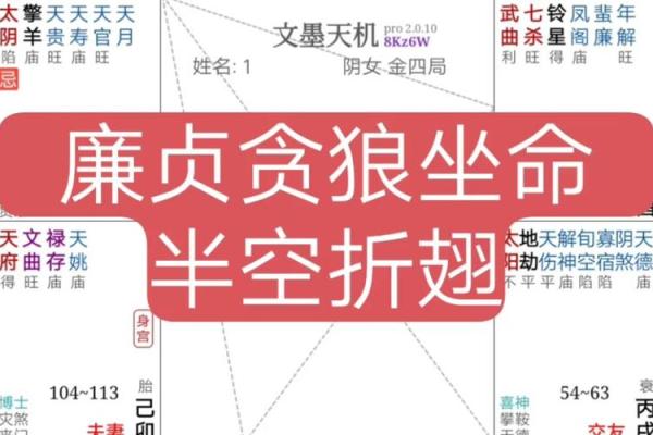 阿道夫紫薇斗数