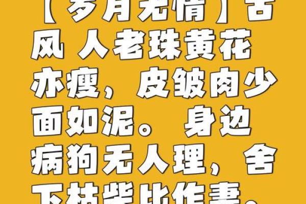 不老的八字