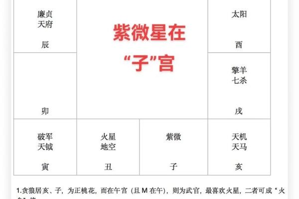 银行紫微斗数 紫微斗数经典格局？