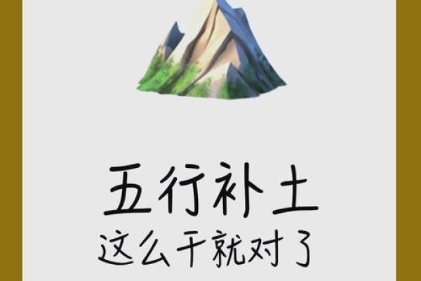 风水五行缺土怎么补土最旺摆放植物可以吗