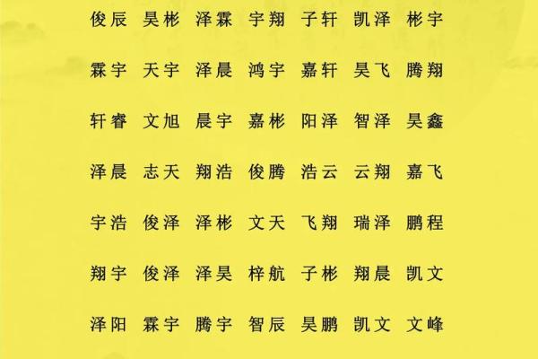 2019年6月6号子时出生的男孩应该起什么样的名字姓名