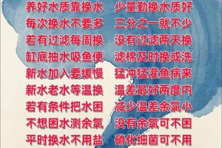 养鱼喜忌：家庭养鱼的风水讲究
