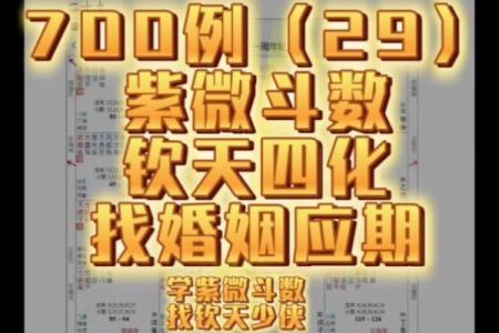 紫微斗数看配偶及恋爱婚姻之：婚灾的解救方法