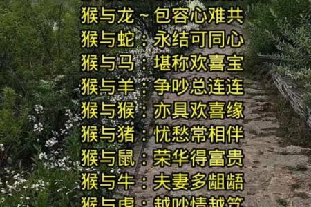 87兔和92猴的姻缘如何 87兔和92猴的八字合不合