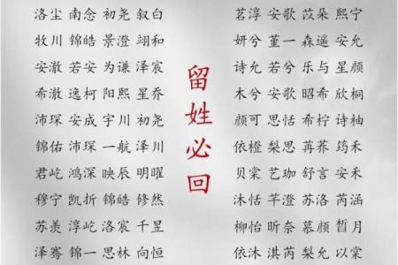 2019年3月24号申时出生的男孩起名时要注意什么姓名