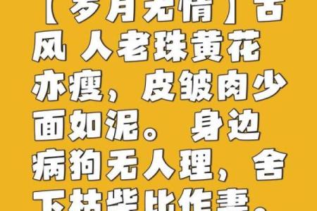 不老的八字