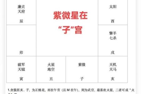银行紫微斗数 紫微斗数经典格局？