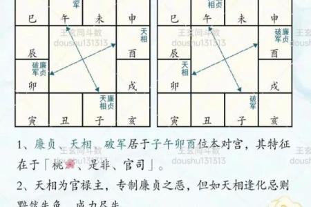 紫薇斗数男命妻管严