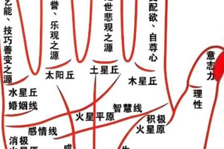 指纹算命图谱