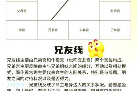 紫微斗数命理网 紫微斗数命理学正解？
