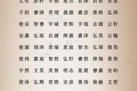 属猪辛时出生的男孩如何起名，宜用什么字姓名
