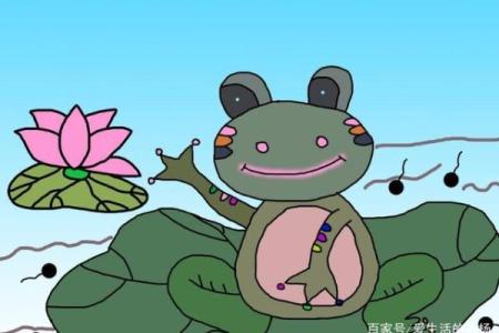 小青蛙风水