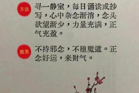 静心八字诀消除杂念,属牛人鼠年运程