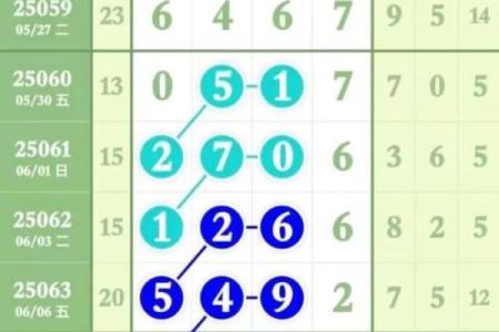 婚姻树财富船测试免费 易奇八字婚姻树财富船
