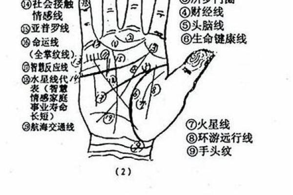 川字纹手相算命图解