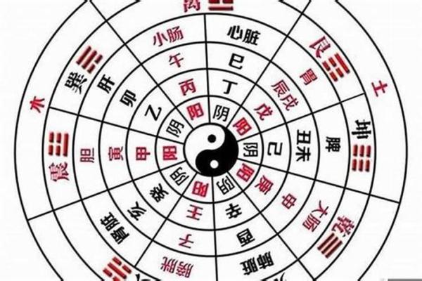 什么叫全阳命,八字全阳的女人命运