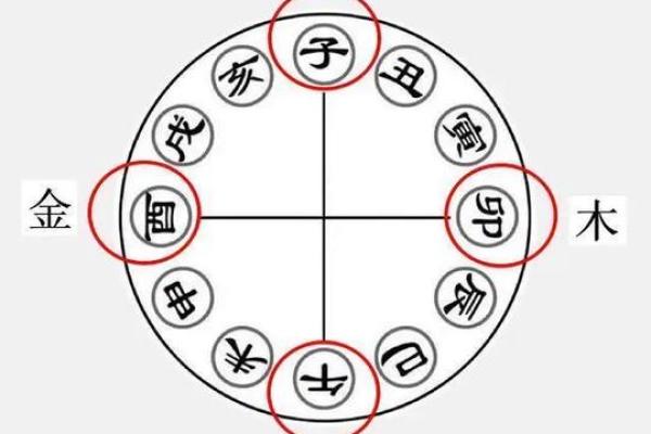 八字命理中的八字地支三合局