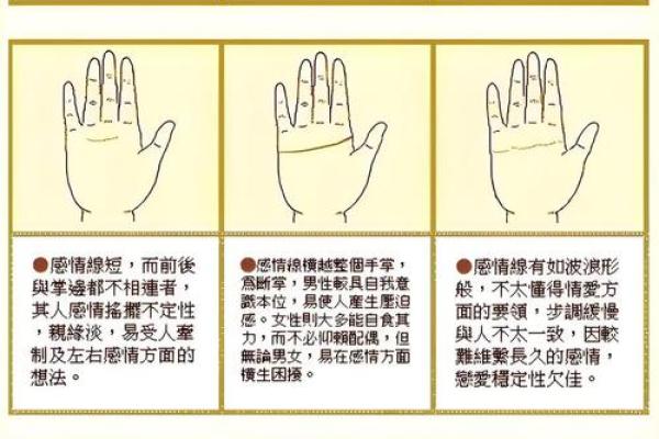 看指纹算命