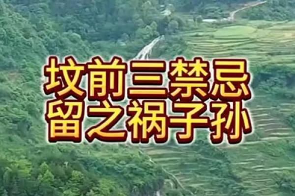 祖坟风水不注意对后代的影响
