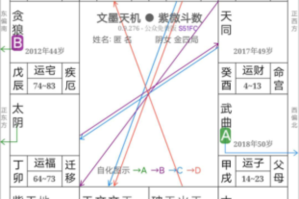 丙申年紫微斗数 丙申年运？