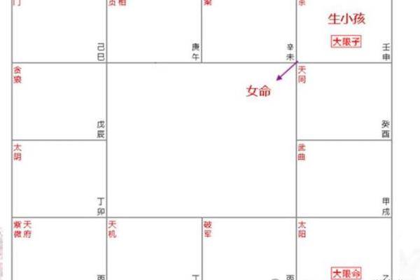 紫薇斗数照
