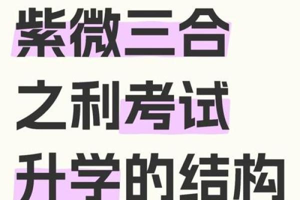 紫薇斗数看学业考试