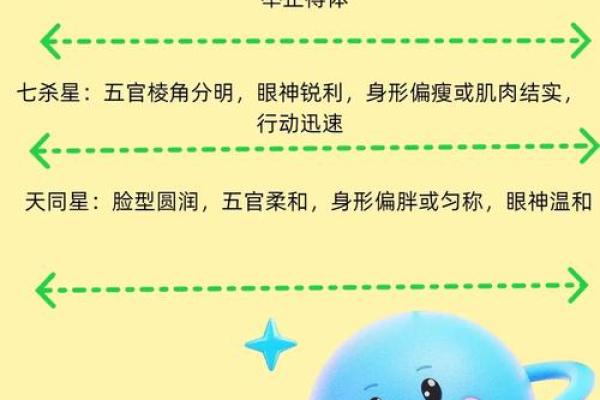 天厨星紫薇斗数