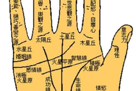 女人手纹算命图解,有福气的女人手相