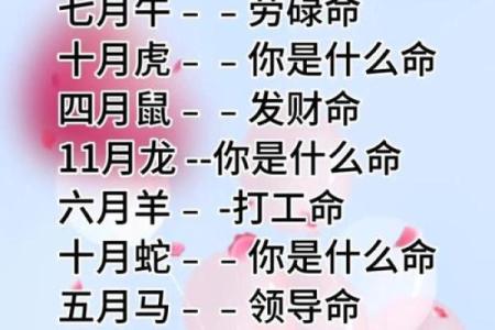 命理算命术语大全