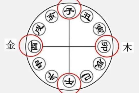 八字命理中的八字地支三合局