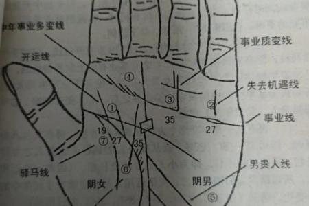 怎样看手相算命,如何学会看手相算命
