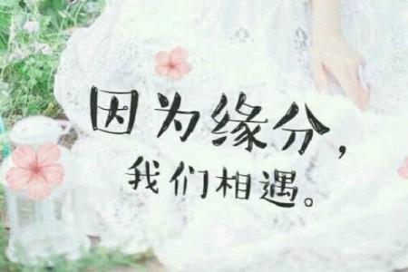 测试缘分歌曲的软件下载 测试缘分歌曲的软件下载苹果？