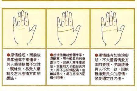 看指纹算命