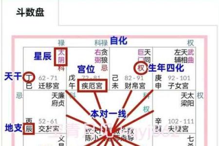 紫薇斗数怎么看兄弟宫
