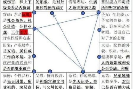 紫薇斗数男命主要看什么宫位