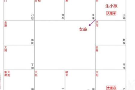紫薇斗数照