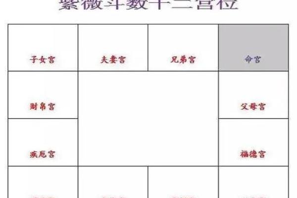 紫微斗数诸星落诸宫之：天府星兄弟宫详解