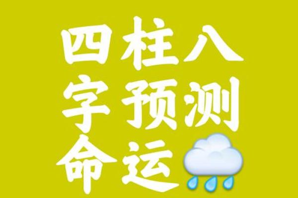 南方八字算命软件