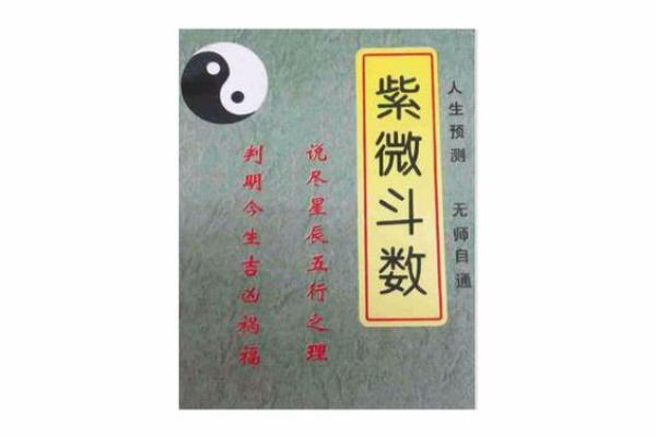紫薇斗数真传