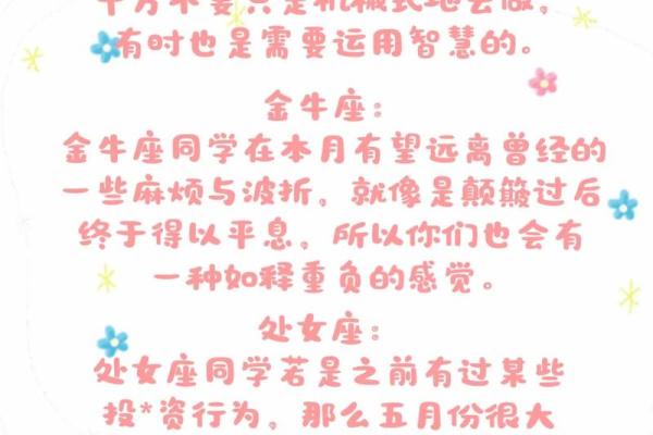 塔罗测试：十二月财运？